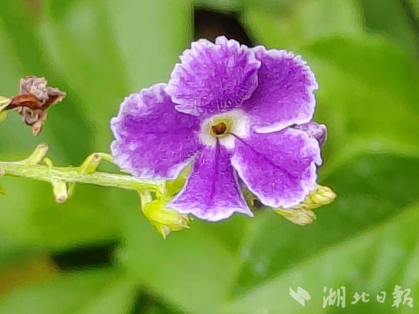 捕鱼下现金注册送分